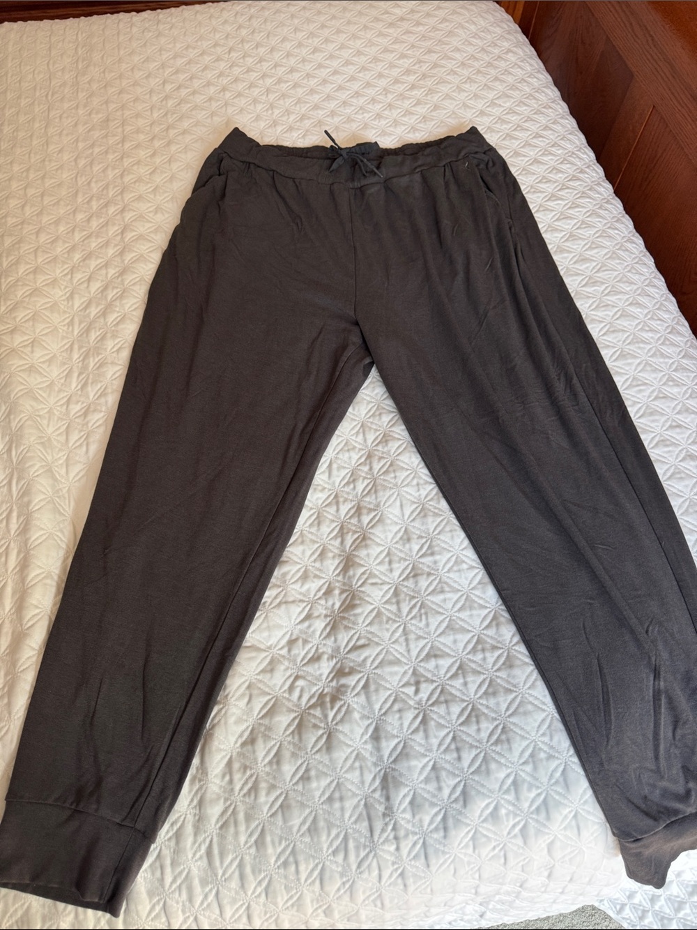 Cozy Earth Ultra-Soft Brushed Bamboo Joggers Charcoal Grey Size XXL 28" nice!